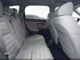 Miniaturka zdjęcia 8