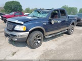 Ford F-150 Lariat/Xlt 1FTRW08L22KC24978 fotografie