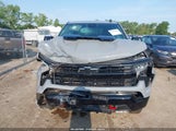 Chevrolet Silverado 3GCUDFED5RG200384 снимка