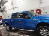 Ford F-150 Xlt 1FTFW1EF8DKF96187 снимка