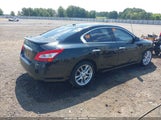 Nissan Maxima 3.5 Sv 1N4AA5AP0AC856012 снимка