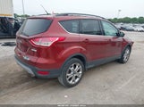 Ford Escape Se 1FMCU0GX5EUA83666 снимка