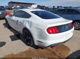 Ford Mustang Ecoboost 1FA6P8TH3K5181127 снимка
