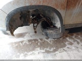 Honda Pilot Ex 5FNYF6H31JB021963 fotografie