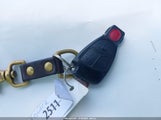 Mercedes-Benz Clk 55 Amg WDBLJ74G01F190793 photo