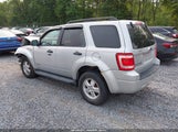 Ford Escape Xlt 1FMCU93138KA33533 снимка