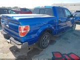 Ford F-150 Xlt 1FTPW12V69FA00462 снимка