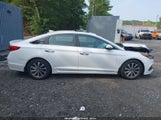 Hyundai Sonata Sport 5NPE34AF2HH440307 снимка