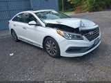 Hyundai Sonata Sport 5NPE34AF2HH440307 снимка