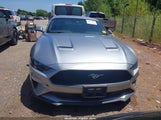 Ford Mustang Ecoboost Fastback 1FA6P8TH9L5124416 снимка