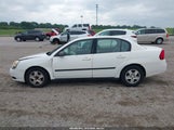 Chevrolet Malibu 1G1ZS52F95F265626 снимка