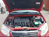 Toyota Corolla Le 2T1BR30E97C819648 fotografie