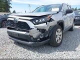 Toyota Rav4 Le JTMF1RFV5KD024403 снимка
