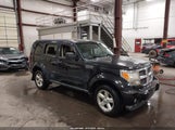 Dodge Nitro Slt/Rt 1D8GU58KX9W520918 fotografie