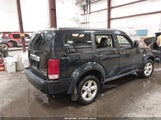 Dodge Nitro Slt/Rt 1D8GU58KX9W520918 fotografie
