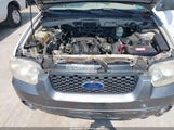 Ford Escape Xlt/Xlt Sport 1FMCU93106KA47242 снимка