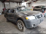 Ford Escape Xlt/Xlt Sport 1FMYU93106KC43347 photo