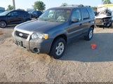 Ford Escape Xlt/Xlt Sport 1FMYU93146KC43979 fotografie