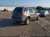 Ford Escape Xlt/Xlt Sport 1FMYU93146KC43979 fotografie