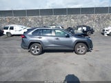 Toyota Rav4 Xle JTMW1RFV6RD117876 снимка