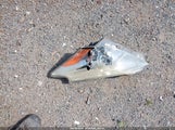 Toyota Prius V Three JTDZN3EU3C3037634 снимка