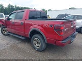 Ford F-150 Fx4 1FTFW1ET0EKF69492 снимка