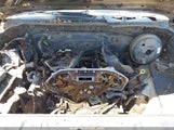 NISSAN XTERRA OFF ROAD 5N1AN08W56C551011 fotografie