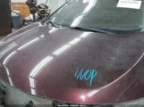 Nissan Murano Le JN8AZ1MW5DW321330 снимка
