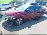 Nissan Maxima 3.5 Platinum/3.5 S/3.5 Sl/3.5 Sr/3.5 Sv 1N4AA6AP0HC380389 photo