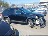 Toyota Rav4 Xle 2T3W1RFV8LW065533 снимка
