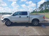 Ford F-150 Xlt 1FTFW1EF9DFA80462 снимка