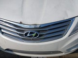 Hyundai Azera KMHFH4JG1DA327914 снимка