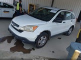 Honda Cr-V Lx JHLRE38307C041393 снимка