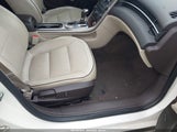 Miniaturka zdjęcia 5