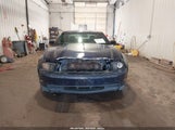 Ford Mustang Gt/Gt Premium 1ZVBP8CH3A5165319 fotografie