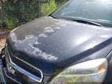 Chevrolet Equinox Ls 2GNALBEK5D6213239 снимка