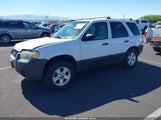 Ford Escape Xlt 1FMYU03Z37KB79047 снимка