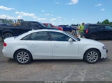 Audi A4 2.0T Premium WAUHFAFL7AN049237 снимка