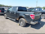 Ford F-150 Xlt 1FTEW1E84AFD59486 снимка