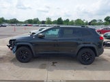 Jeep Cherokee Trailhawk 1C4PJMBS2FW770188 снимка