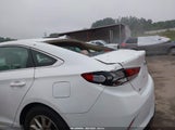 Hyundai Sonata Se 5NPE24AF6KH792168 снимка