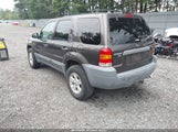 Ford Escape Xlt/Xlt Sport 1FMYU93147KA24859 fotografie