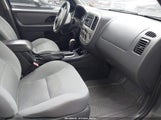 Ford Escape Xlt/Xlt Sport 1FMYU93147KA24859 fotografie