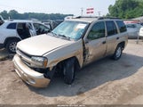 Chevrolet Trailblazer Ls 1GNDT13S962242463 снимка
