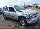 Chevrolet Trailblazer Ls 1GNDT13S642270430 снимка