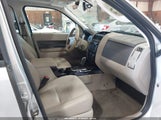 Ford Escape Hybrid Limited 1FMCU59339KC01917 fotografie