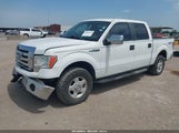 Ford F-150 Xlt 1FTFW1EF5BKE10456 снимка