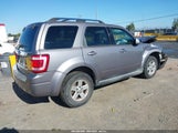 Ford Escape Hybrid 1FMCU59H38KD30024 снимка