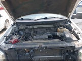 Ford F-150 Fx4/Lariat/Stx/Xl/Xlt 1FTFX1EF8DKD43741 fotografie