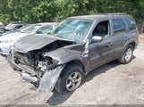 Mazda Tribute I 4F2YZ02Z96KM09793 снимка